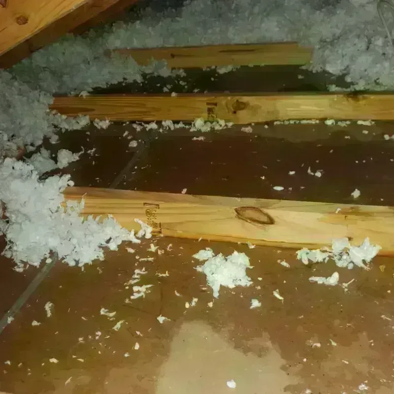 Attic Water Damage in North Seekonk, MA